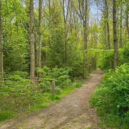 Campsite Dancamps Trelde Naes