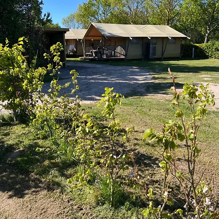 Dancamps Trelde Naes