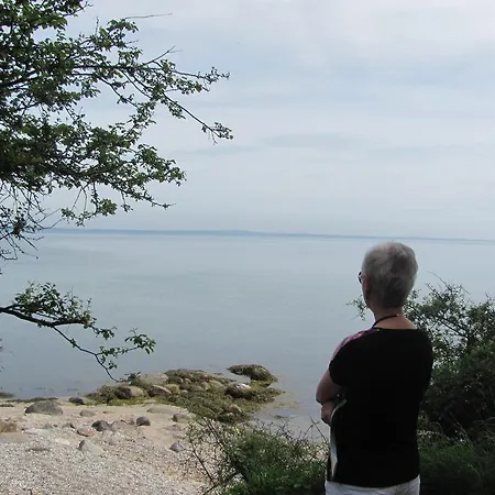 Campsite Dancamps Trelde Naes
