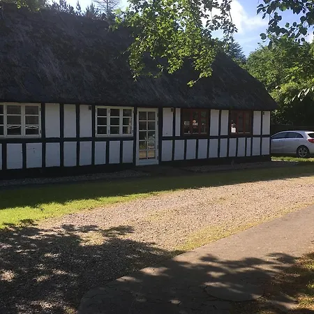 Dancamps Trelde Naes 3*