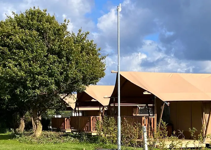 Dancamps Trelde Naes 3* Fredericia