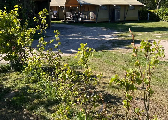 Dancamps Trelde Naes