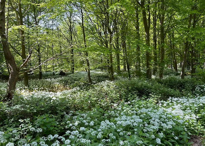 Dancamps Trelde Naes Fredericia
