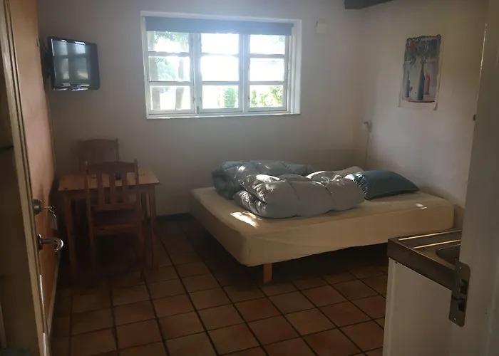 Dancamps Trelde Naes Camping