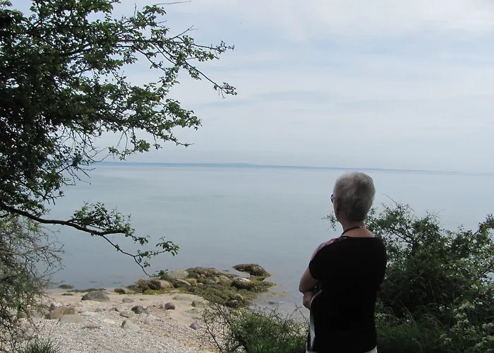 Dancamps Trelde Naes Fredericia